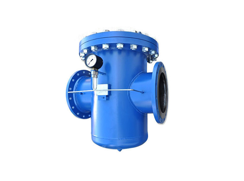 Flanged T Strainer